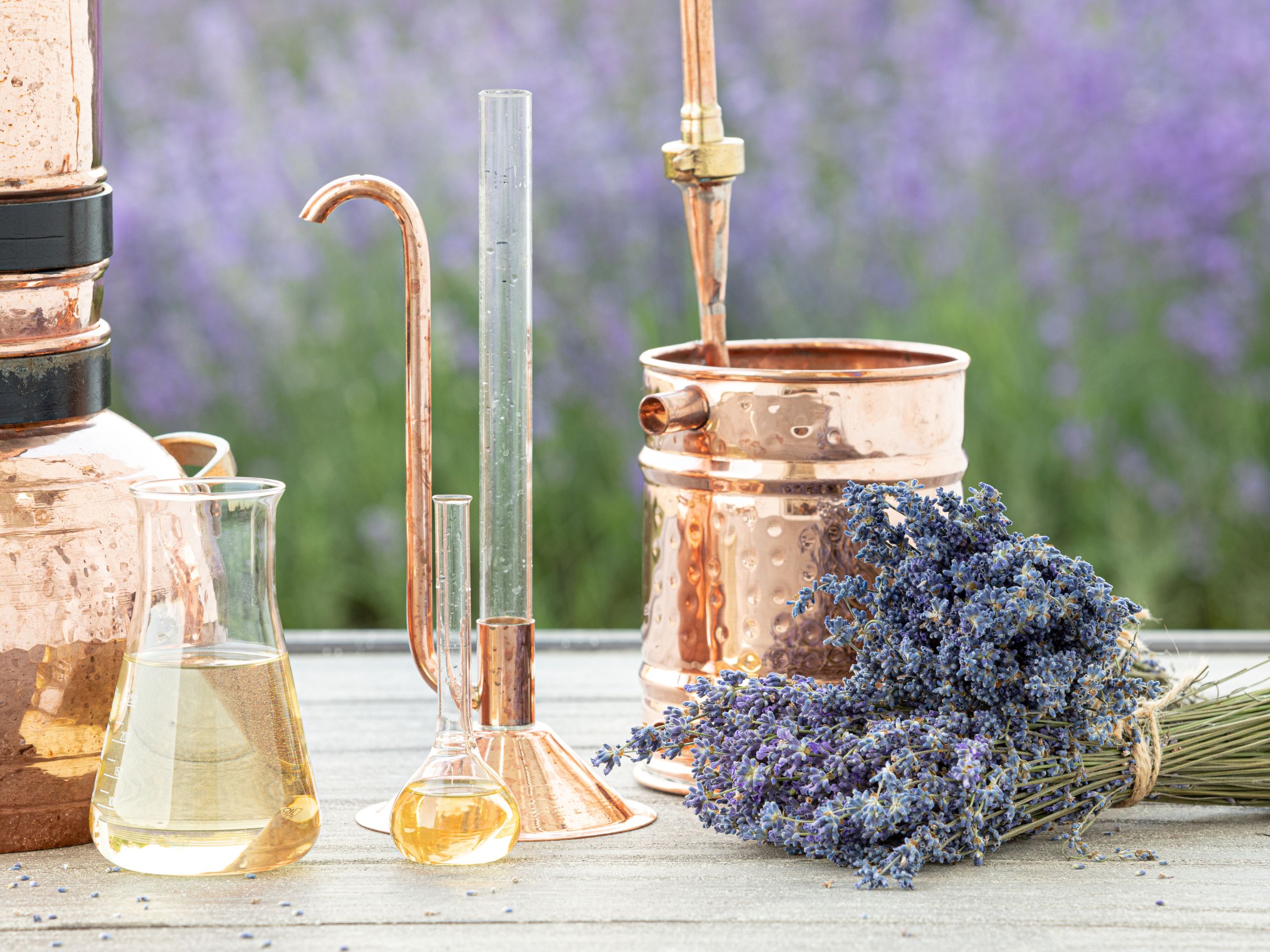 Hydrosol vs Essential Oils Explained — Why Rose Has Our Attention