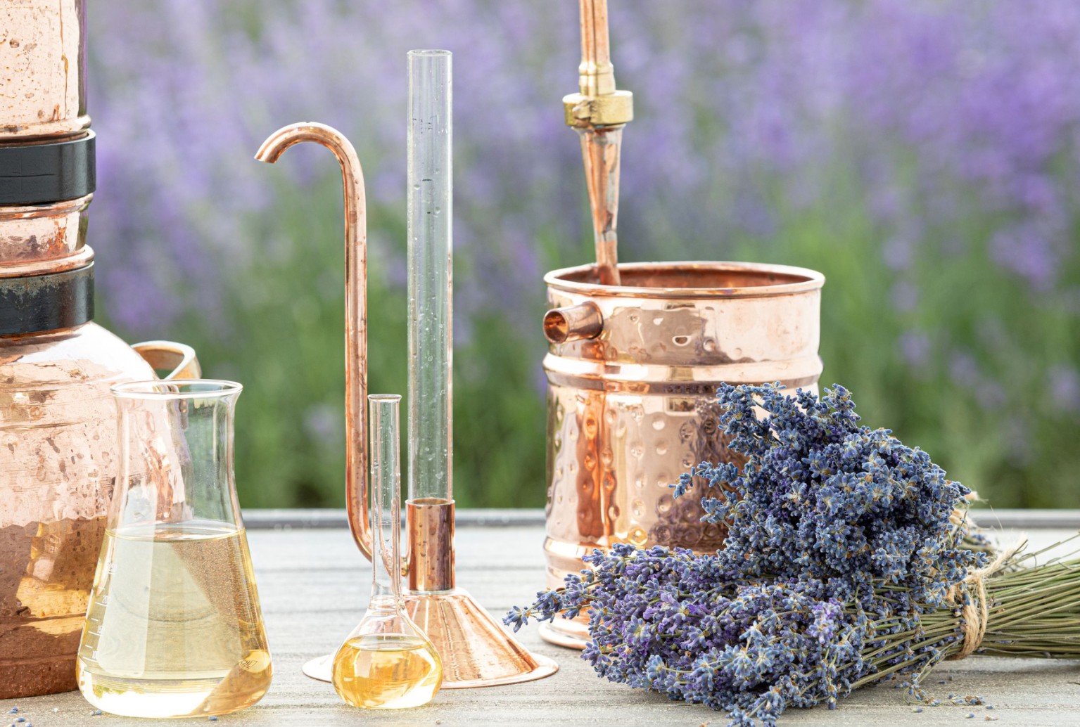 Hydrosol vs Essential Oils Explained — Why Rose Has Our Attention