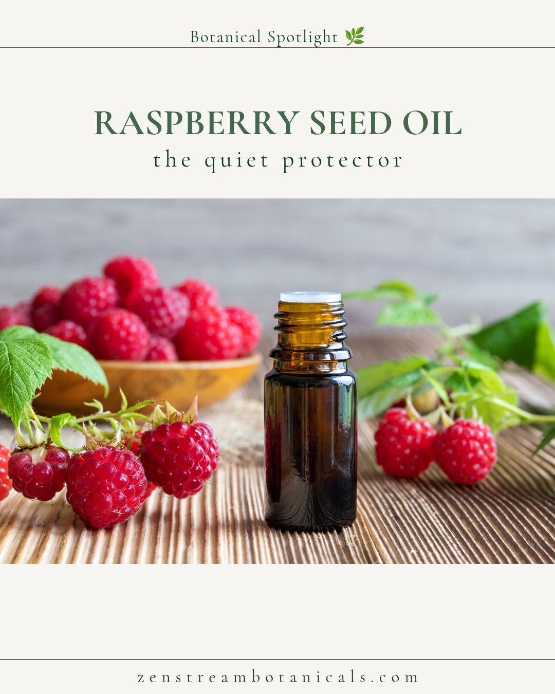 Raspberry Seed Oil