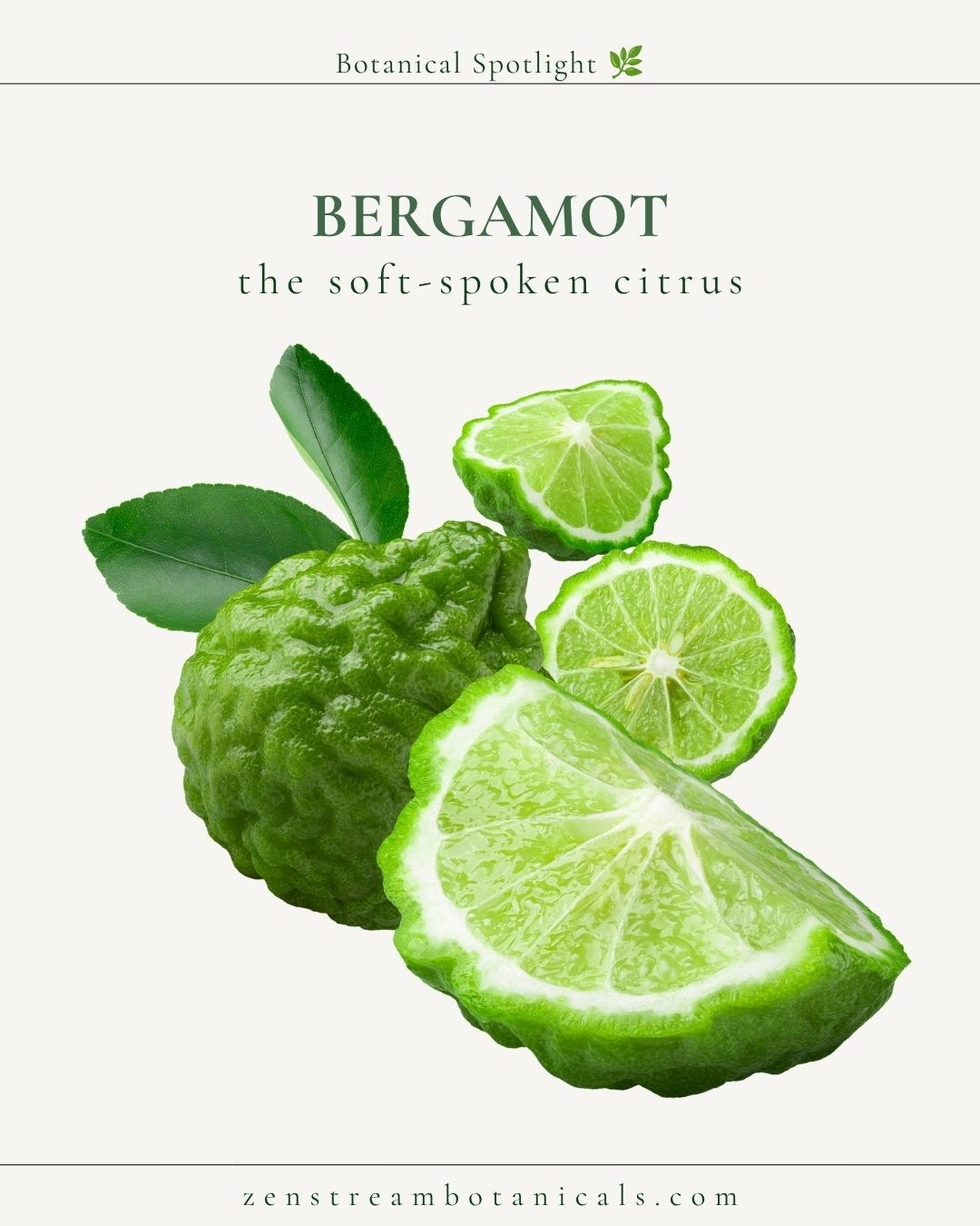 Bergamot