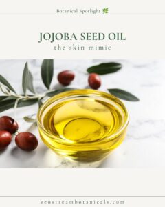 Jojoba botanical spotlight