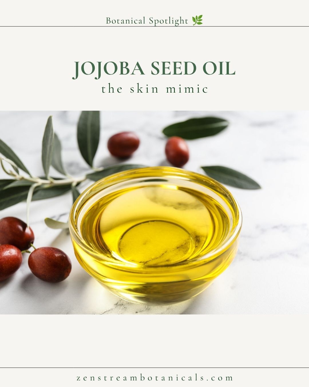 Jojoba