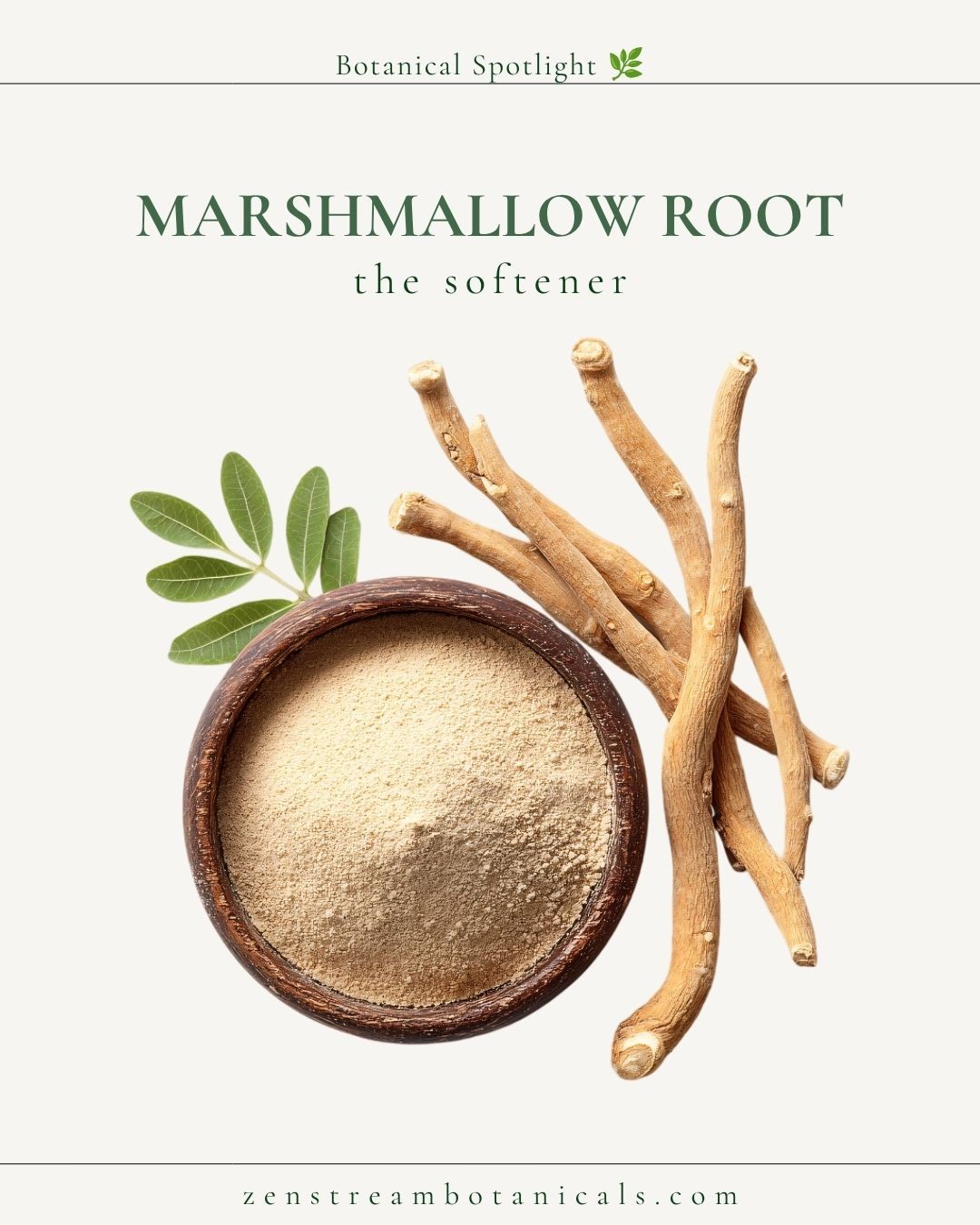 Marshmallow Root