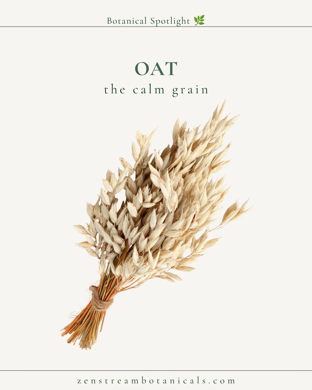 Oat