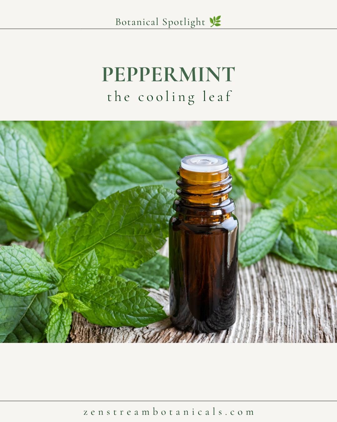 Peppermint