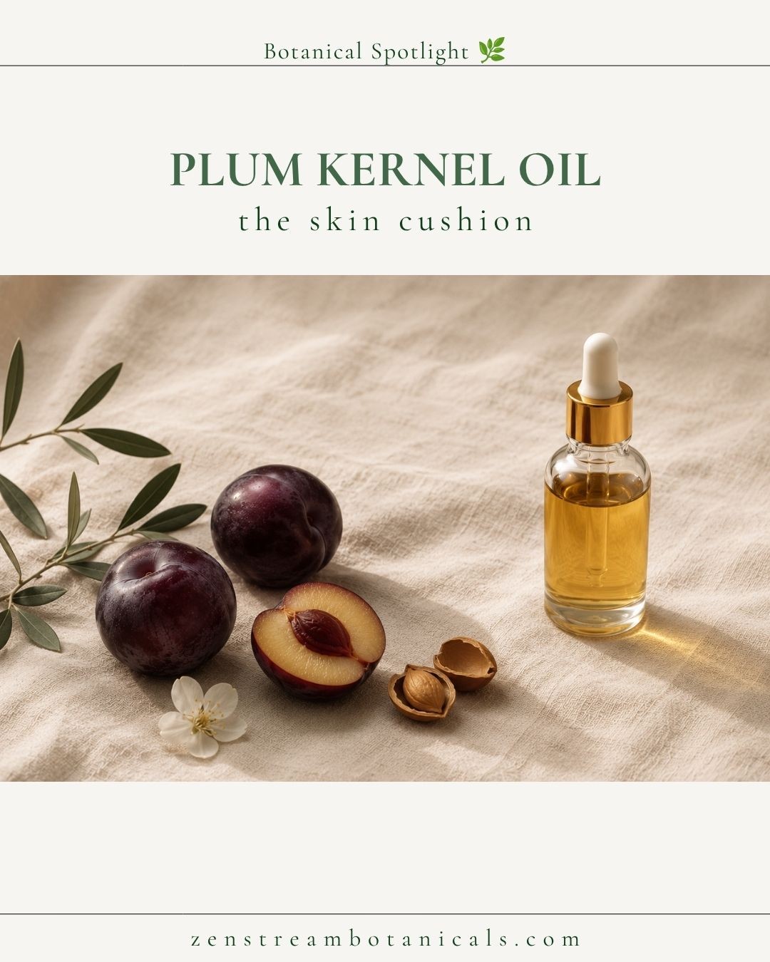 Plum Kernel Oil