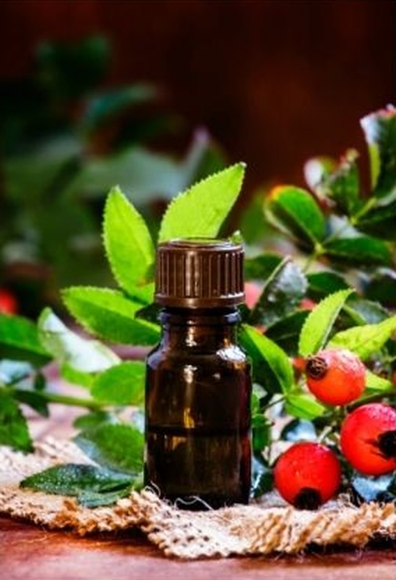 Small amber bottle of rosehip oil among rose leaves and red rosehips