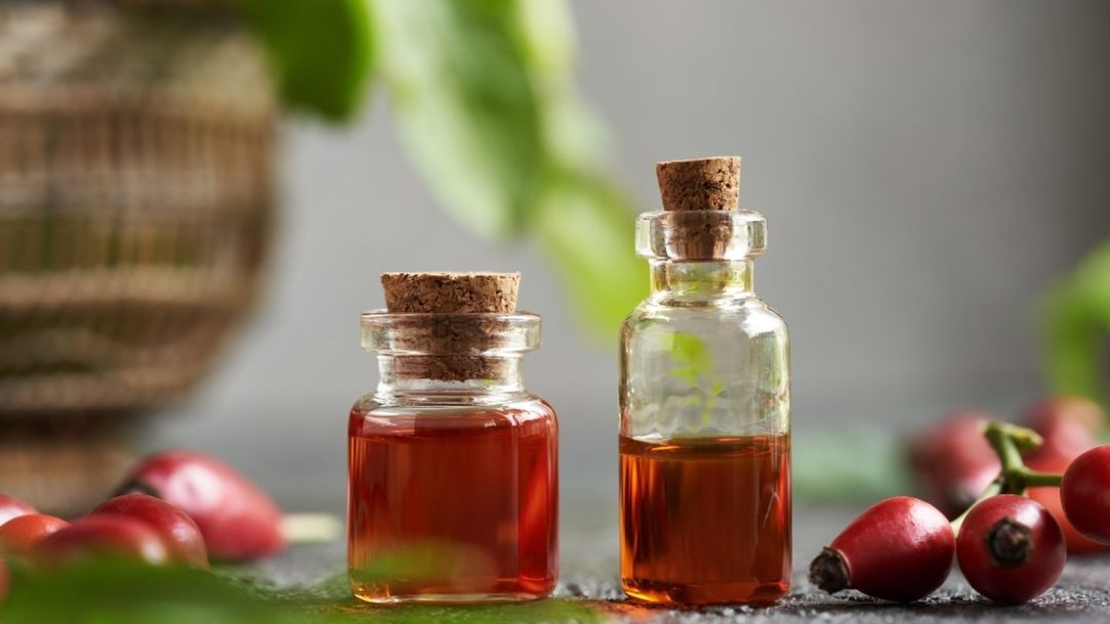 Two corked bottles of amber rosehip seed oil beside fresh red rosehips