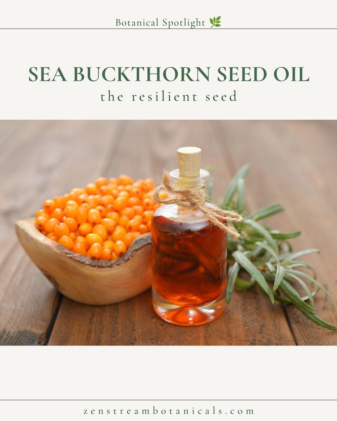 Sea Buckthorn Seed Oil
