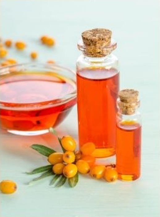 Glass bottles and a dish of orange sea buckthorn oil with fresh berries
