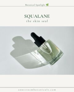 Squalane botanical spotlight